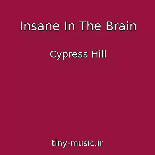 کاور آهنگ Insane In The Brain از Cypress Hill