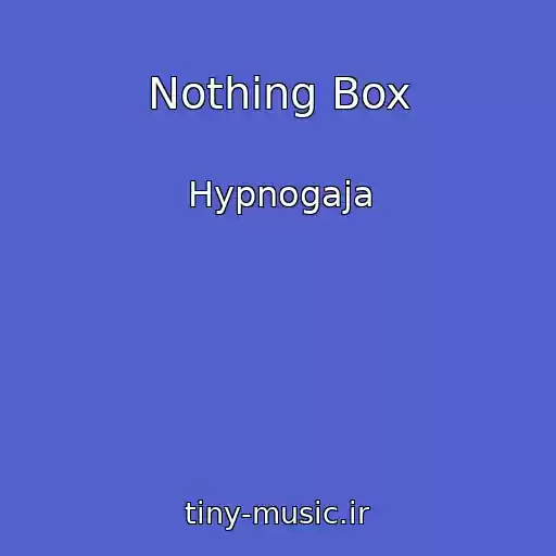 کاور آهنگ Nothing Box از Hypnogaja