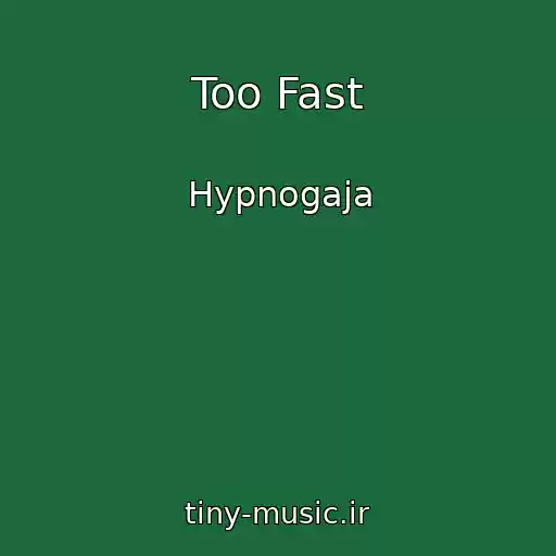 کاور آهنگ Too Fast از Hypnogaja