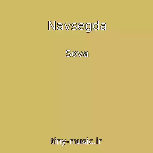 کاور آهنگ Navsegda از Sova