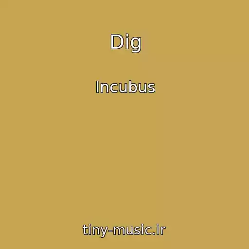 کاور آهنگ Dig از Incubus