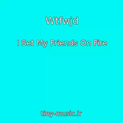 کاور آهنگ Wtfwjd از I Set My Friends On Fire