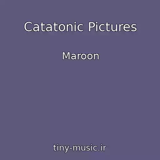 کاور آهنگ Catatonic Pictures از Maroon