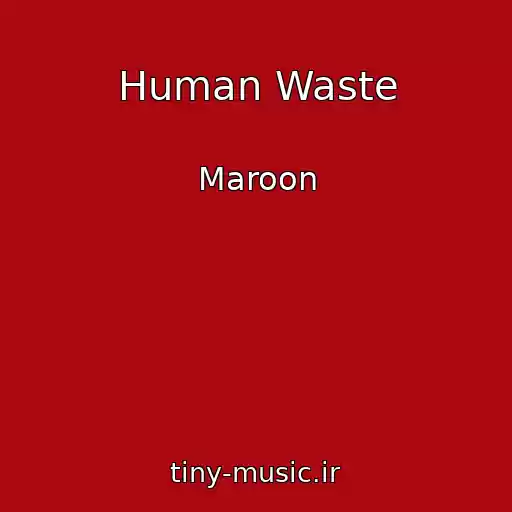 کاور آهنگ Human Waste از Maroon