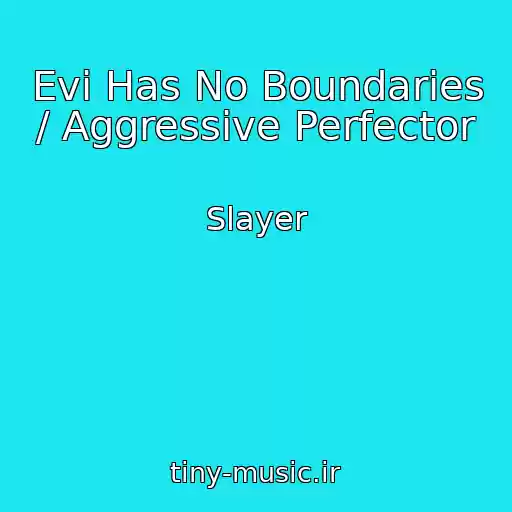 کاور آهنگ Evi Has No Boundaries / Aggressive Perfector از Slayer