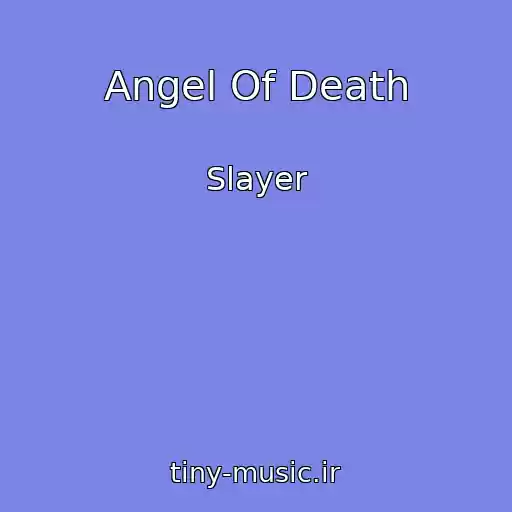 کاور آهنگ Angel Of Death از Slayer