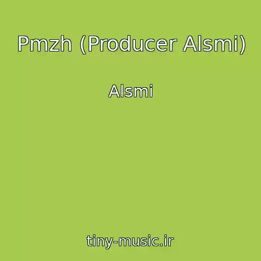 کاور آهنگ Pmzh (Producer Alsmi) از Alsmi
