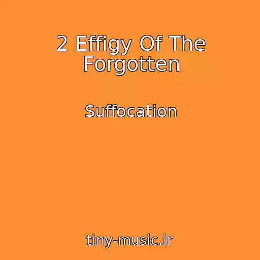 کاور آهنگ 2 Effigy Of The Forgotten از Suffocation