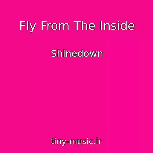 کاور آهنگ Fly From The Inside از Shinedown
