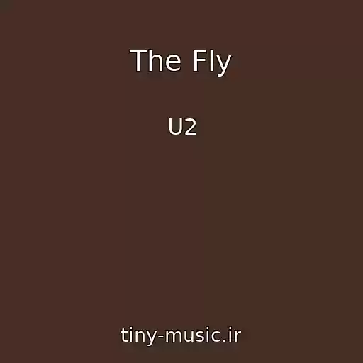 کاور آهنگ The Fly از U2