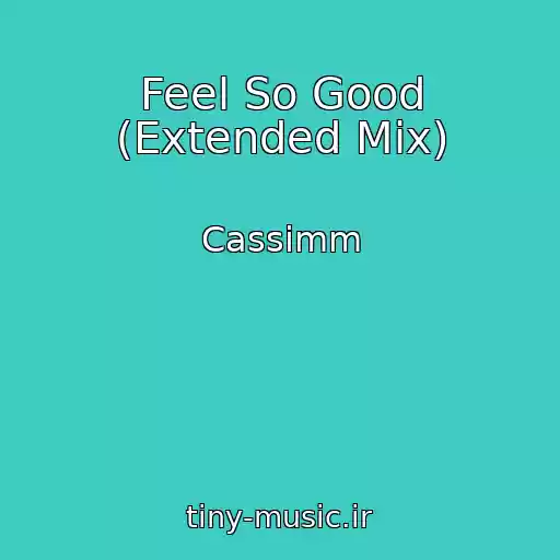 کاور آهنگ Feel So Good (Extended Mix) از Cassimm