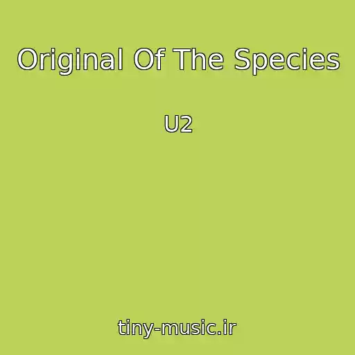 کاور آهنگ Original Of The Species از U2