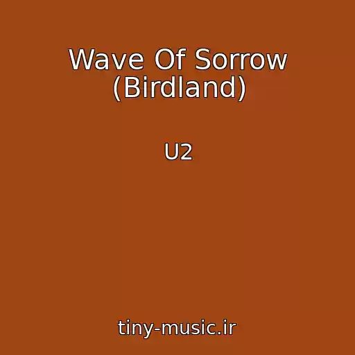 کاور آهنگ Wave Of Sorrow (Birdland) از U2