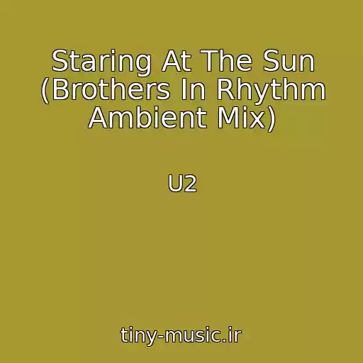 کاور آهنگ Staring At The Sun (Brothers In Rhythm Ambient Mix) از U2