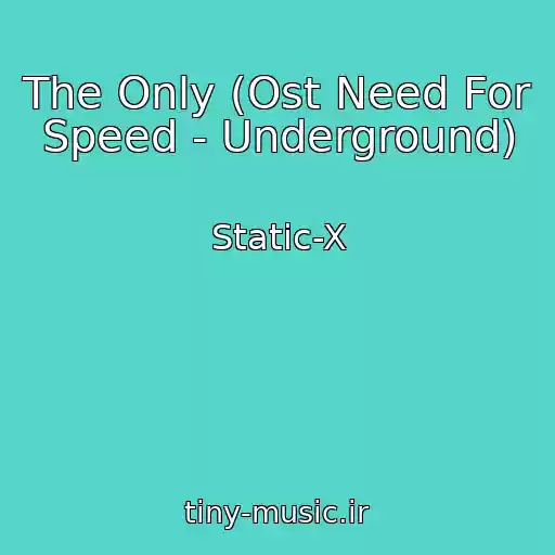 کاور آهنگ The Only (Ost Need For Speed - Underground) از Static-X