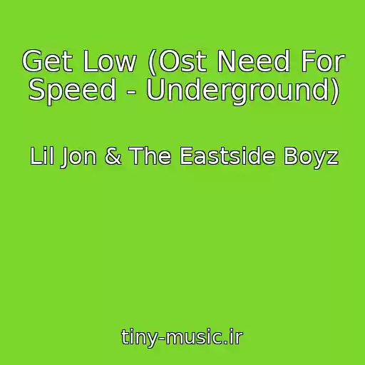 کاور آهنگ Get Low (Ost Need For Speed - Underground) از Lil Jon & The Eastside Boyz