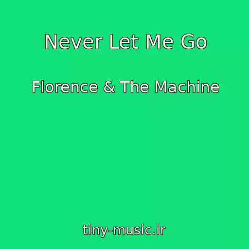 کاور آهنگ Never Let Me Go از Florence & The Machine