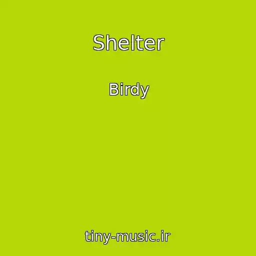 کاور آهنگ Shelter از Birdy
