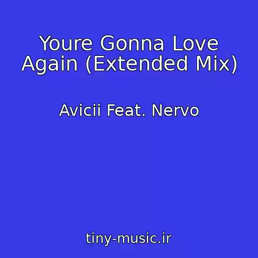 کاور آهنگ Youre Gonna Love Again (Extended Mix) از Avicii Feat. Nervo