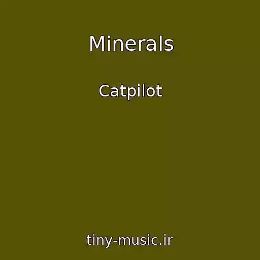 کاور آهنگ Minerals از Catpilot