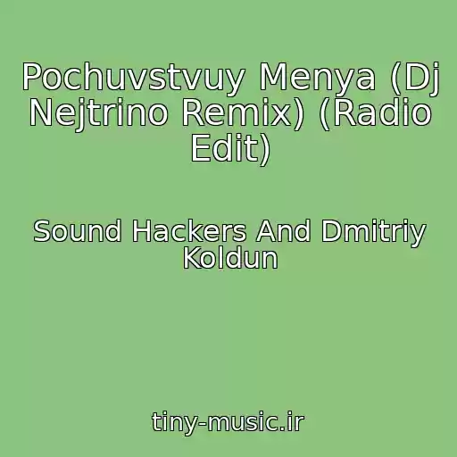 کاور آهنگ Pochuvstvuy Menya (Dj Nejtrino Remix) (Radio Edit) از Sound Hackers And Dmitriy Koldun