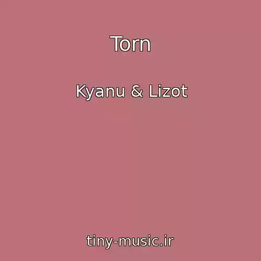 کاور آهنگ Torn از Kyanu & Lizot