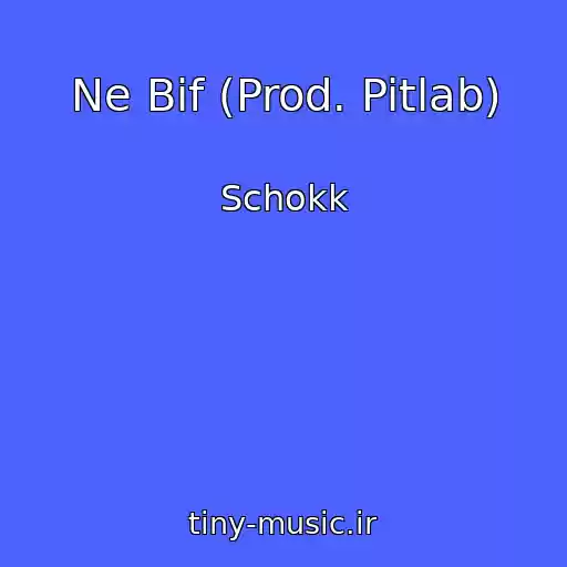 کاور آهنگ Ne Bif (Prod. Pitlab) از Schokk