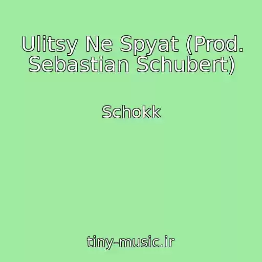 کاور آهنگ Ulitsy Ne Spyat (Prod. Sebastian Schubert) از Schokk