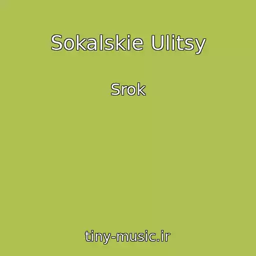 کاور آهنگ Sokalskie Ulitsy از Srok