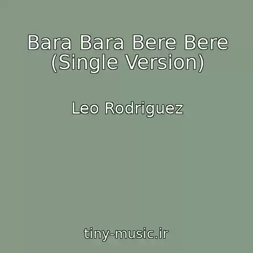 کاور آهنگ Bara Bara Bere Bere (Single Version) از Leo Rodriguez