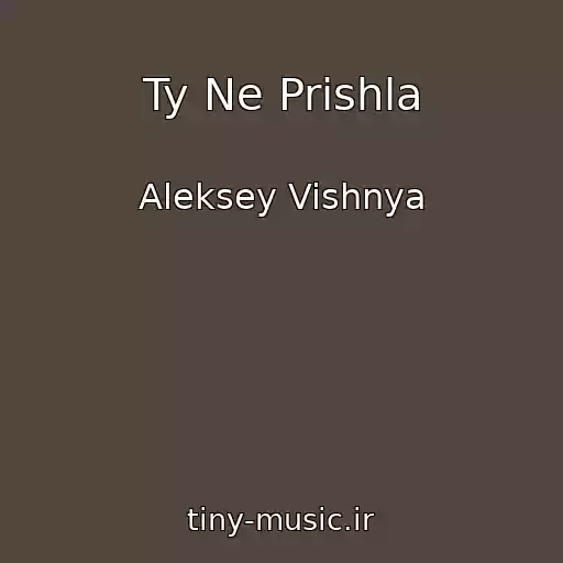 کاور آهنگ Ty Ne Prishla از Aleksey Vishnya