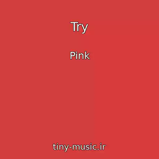 کاور آهنگ Try از Pink