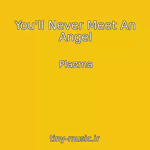 کاور آهنگ You'll Never Meet An Angel از Plazma