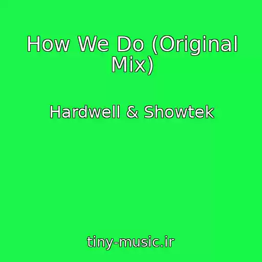 کاور آهنگ How We Do (Original Mix) از Hardwell & Showtek