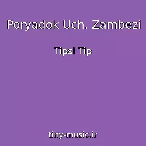 کاور آهنگ Poryadok Uch. Zambezi از Tipsi Tip