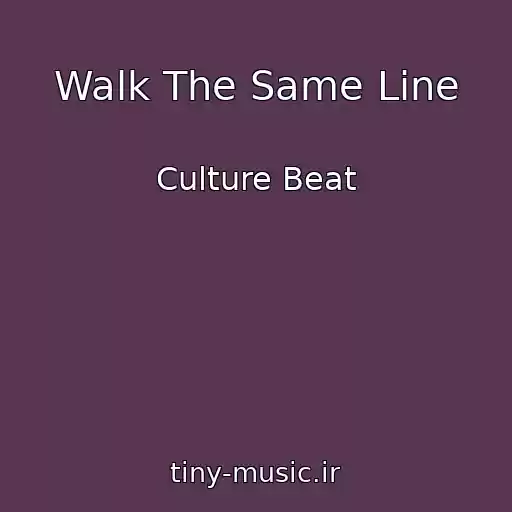 کاور آهنگ Walk The Same Line از Culture Beat