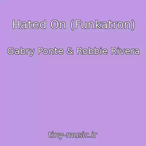کاور آهنگ Hated On (Funkatron) از Gabry Ponte & Robbie Rivera