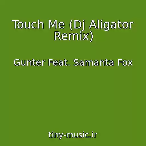 کاور آهنگ Touch Me (Dj Aligator Remix) از Gunter Feat. Samanta Fox
