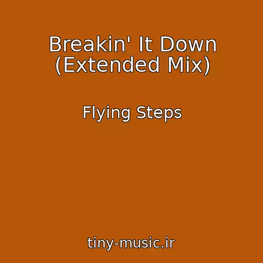 کاور آهنگ Breakin' It Down (Extended Mix) از Flying Steps
