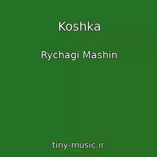 کاور آهنگ Koshka از Rychagi Mashin