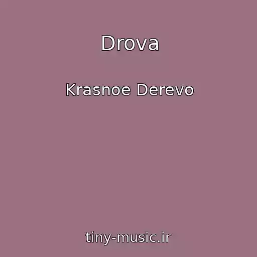 کاور آهنگ Drova از Krasnoe Derevo