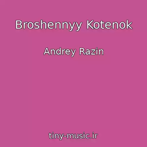 کاور آهنگ Broshennyy Kotenok از Andrey Razin