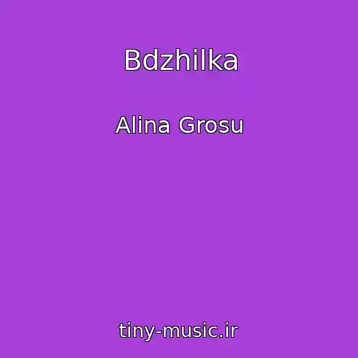 کاور آهنگ Bdzhіlka از Alina Grosu