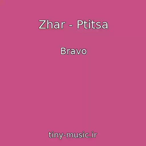کاور آهنگ Zhar - Ptitsa از Bravo