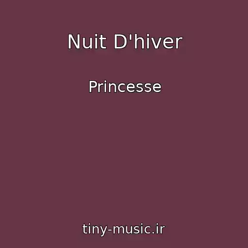 کاور آهنگ Nuit D'hiver از Princesse
