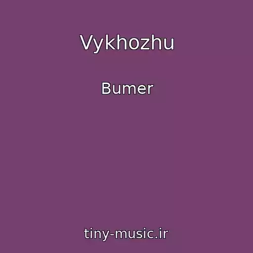 کاور آهنگ Vykhozhu از Bumer