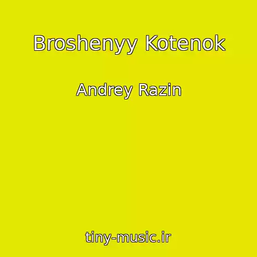 کاور آهنگ Broshenyy Kotenok از Andrey Razin