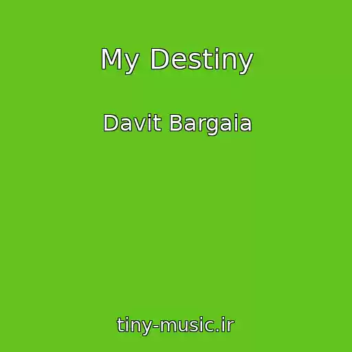 کاور آهنگ My Destiny از Davit Bargaia