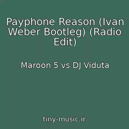 کاور آهنگ Payphone Reason (Ivan Weber Bootleg) (Radio Edit) از Maroon 5 vs DJ Viduta