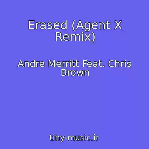 کاور آهنگ Erased (Agent X Remix) از Andre Merritt Feat. Chris Brown